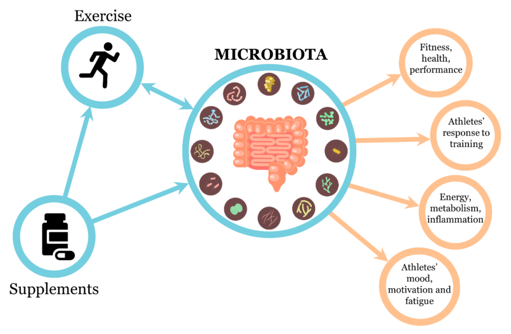 microbiotafitness