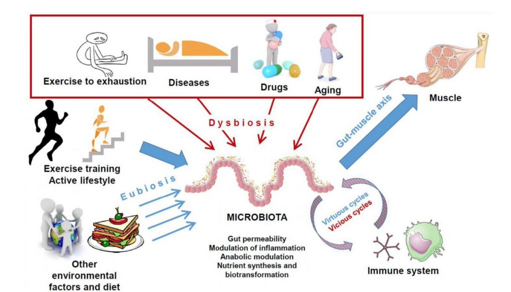 fattori che modificano il microbiota